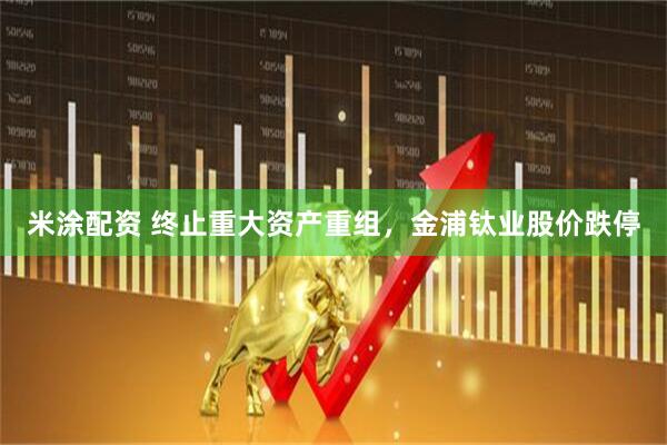 米涂配资 终止重大资产重组，金浦钛业股价跌停