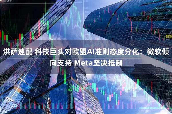 洪萨速配 科技巨头对欧盟AI准则态度分化：微软倾向支持 Meta坚决抵制