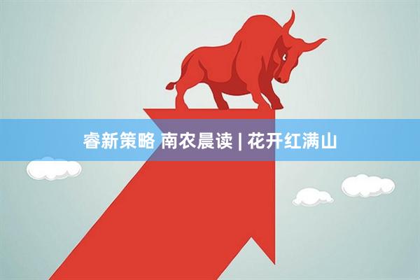 睿新策略 南农晨读 | 花开红满山